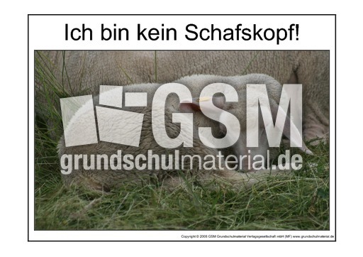 Schafskopf-2.pdf
